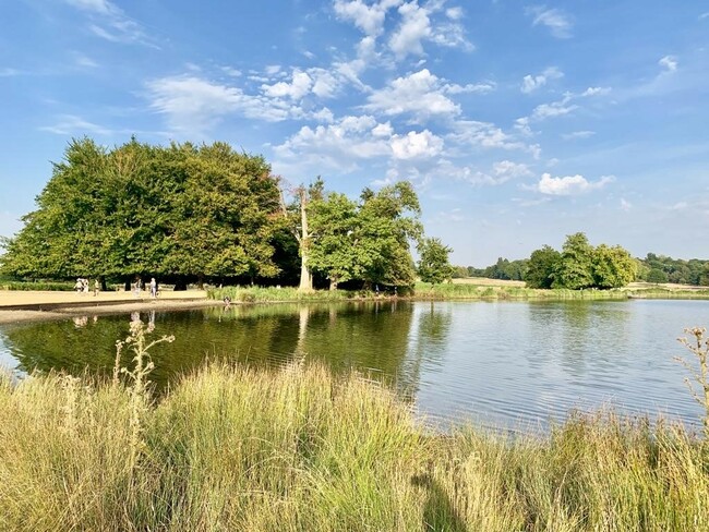 הפארק המלכותי הגדול בלונדון + שמורת טבע עם 630 איילים שמסתובבים חופשי. ריצ׳מונד פארק