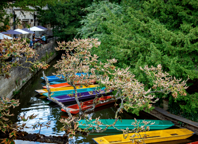 סירות צבעוניות על הנהר באוקספורד