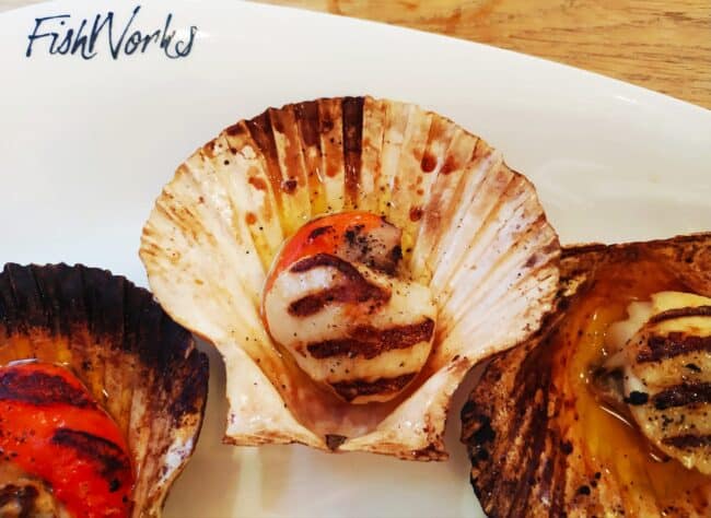 FishWorks. תמונה: יואב אבני