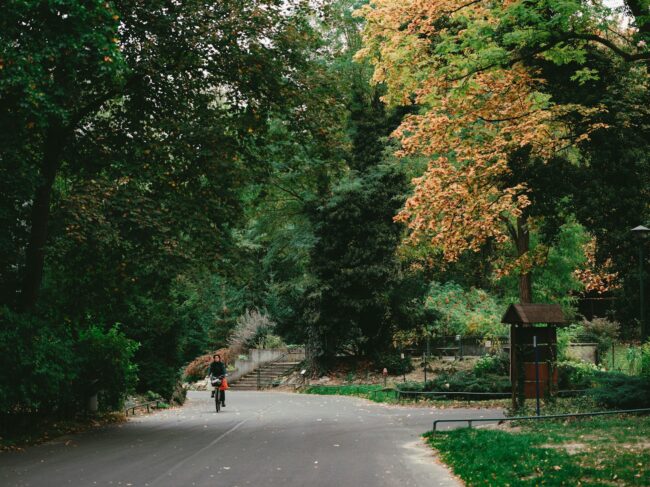  Gladstone Park