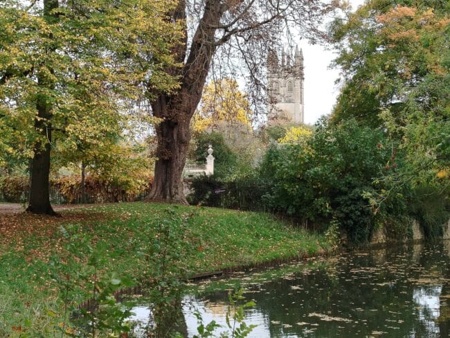 Christ Church Meadow. תמונה: יואב אבני